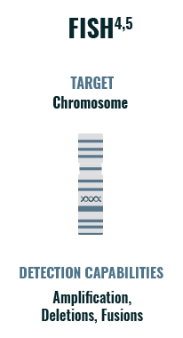 Alt tag
