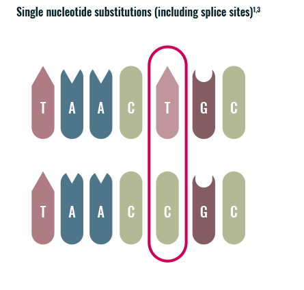 Single nucleotide substitutions in gene mutations graphic1,3