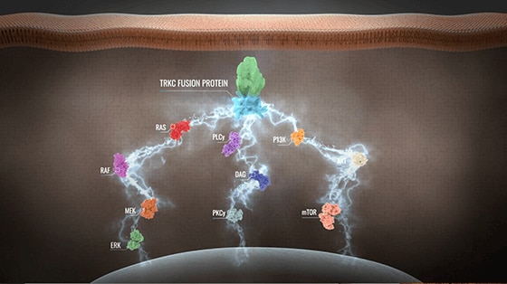 Tracking Oncogenesis