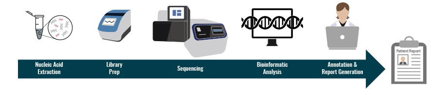Title Nucleic acid extraction graphic